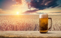 Glass of beer and bottle against wheat field and sunset
