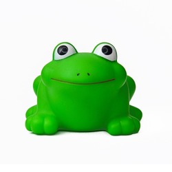 Frog figure rubber toy on white isolated background