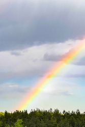 Rainbow Mist Forest - Free Stock Photo by Nicolas Raymond on Stockvault.net