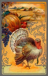 ''Thanksgiving Greeting'' - an ornate vintage illustration showing a bountiful harvest with a tom turkey - circa 1910