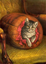 Content cat in fur muffler - a vintage (c.1890) illustration