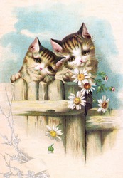 Two cute kittens on a garden gate - a vintage (c.1890) illustration.