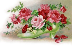 Bouquet of roses in a shoe - a circa 1908 vintage illustration