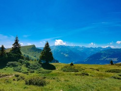 Panoramic view on the Alps mountains chain, green trees and grass and blue mountains in the background, Alvier summit hiking way on a sunny summer day, Switzerland