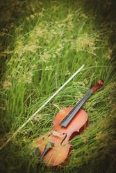 Violin  background with filed and green grass 