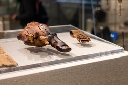 Wooden prosthetic exhibit in Egypt, remarkable example of ancient egyptians using wooden prosthetics to replace missing toes