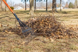 Tree branches and leaf rake in yard. Lawncare, lawn cleaning and branch pickup concept
