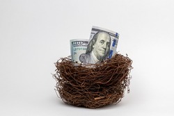 Bird nest with 100 dollar bills. Financial nest egg, retirement savings and investment concept