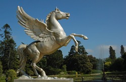 Statue flying horse pegasus a greek mythology figure in an irish garden