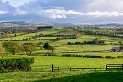 Beautiful Sunny at Green Irish Countryside