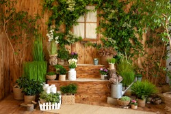 The interior of spring yard. Patio of a wooden house with green plants in pots. Gardening on steps of house. Rustic terrace. Country house veranda in spring decoration. Easter. Growing potted plants. 