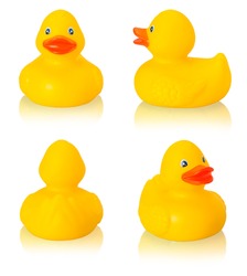 Toy rubber duck isolated on white
