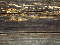 Texture of an old, brown wood closeup. Wall of wooden logs