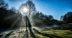 A frosty morning and stream with sunlight and rays shining through the trees covered in winter morning mist, England, Cotswolds, United Kingdom
