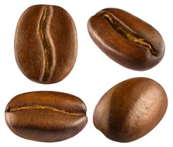 Set of fresh roasted coffee beans isolated on white background.