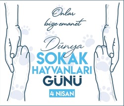 they are entrusted to us. April 4th. street animals day turkish: onlar bize emanet. 4 nisan. sokak hayvanlari gunu