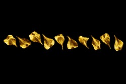 Golden flower petals isolated closeup black background, gold metal floral border, foliage ornament, yellow shiny metallic leaves pattern, vintage frame design element, decorative leaf line, copy space