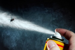 Man spraying on a fly a poisonous aerosol