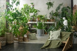 A fragment of the interior with a variety of indoor plants and plaster sculptures. Urban jungle concept. Biophilia design.