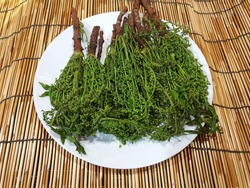 Neem is blanched and placed in white plate.It is a bitter but useful herb to help nourish the elements, nourish the blood.It is commonly eaten with sweet fish sauce and grilled fish.It is a Thai food