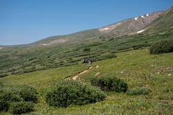 Hikers On A Open Meadow Trail At Guanella Pass in Colorado mountains