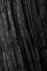 Charred Bark Of Pine Tree background image