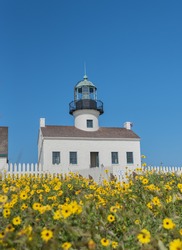 Lighthouse and Wildflowers at Cabrillo Monument