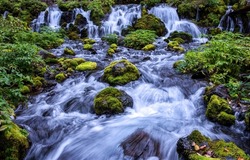 River waterfall on mossy stones. Mossy rocks in river waterfall. Waterfall cascade landscape. River waterfall view