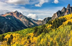 Autumn foliage of the mountain forest. Autumn mountain forest landscape. Mountain forest in autumn. Autumn in mountains