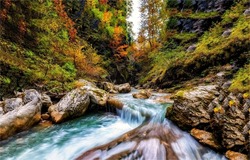 Autumn river in autumn forest. Forest river in autumn. River rapids in autumn forest. River flow