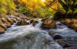 The rapid flow of the river in the autumn forest. Autumn forest river flow. River rapids in autumn forest. Autumn river in forest
