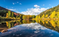 Beautiful forest lake in autumn. Autumn forest lake landscape. Autumn forest lake view. Forest lake in autumn