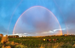 Rainbow over a rural field. Countryside rainbow after rain. Rainbow in sky. Rural rainbow landscape