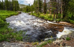 The rapid flow of the forest river. Forest river landscape. River in forest. Forest river rapids