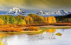 Autumn forest by the lake in the valley. Autumn landscape. Autumn forest at lake. Autumn in mountains