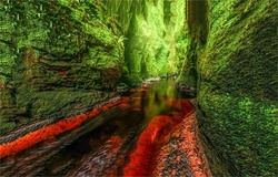 In a moss covered cave. Cave in water. Mossy cave in water. Mossy cave pass