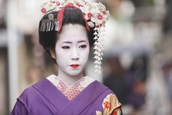 An Image of Apprentice Geisha