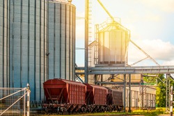 Train cars with grain arrived at elevators in the agricultural sector