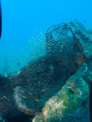 Scuba Diving world war 2 plane wreck in rabaul / Kokopo A6M2 Model Mitsubishi A6M Zero