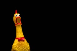 funny rubber toy of chicken, screaming opened mouth on black background.