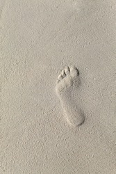 footprint in the sand on the beach