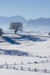 Winter landscape near Aidling Riegsee upper Bavaria Germany