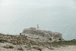 Seagull on the edge of a clifftop on Beachy Head path near Eastbourne, East Sussex, England, UK.