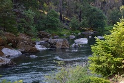 Landscape at the Umpqua River in the Cascade Range, Oregon