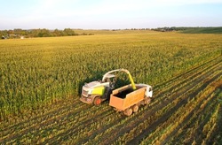 Forage harvester on maize cutting for silage in field. Harvesting biomass crop. Self-propelled Harvester for agriculture. Tractor work on corn harvest season. Farm equipment and farming machine.
