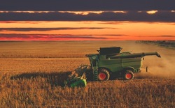 Harvester on sunrise on breadbasket. Wheat harvesting on sunset. Wheat and corn markets in world crisis. Wheat import, maize, soybeans. Crop prices in food crisis. Global food inflation and hunger.