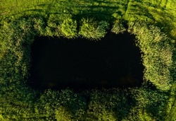 Pond for livestock at the farm. Pond in forest, top view. Village pond for fish farming. Lake in field. Freshwater Lakes. Water supply problems and water deficit. Window in the grass, background