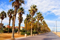 Palm trees at Seafront of Malvarrosa beach. Palm trees near footpath at sea on beach. Walking path at coastline. The Mediterranean sea coas with alley and palms. The Spain beaches. Vacation in Spain.