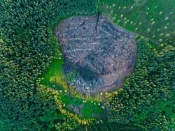 Forest destruction and felling of trees, drone view. Deforestation forest and Illegal logging. Cutting trees. Stacks of cut wood. Forests illegal disappearing. Deforestation, Forest destruction.  