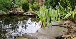 Beautiful small garden pond with stone shores and many decorative evergreens spring after rain. Selective focus. Nature concept for design
